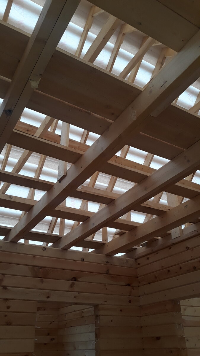 Без потолка