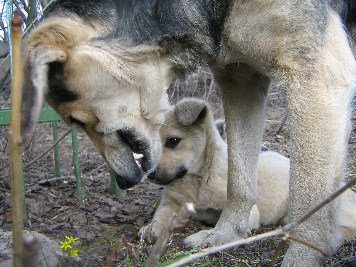 С дочерью цветы нюхают