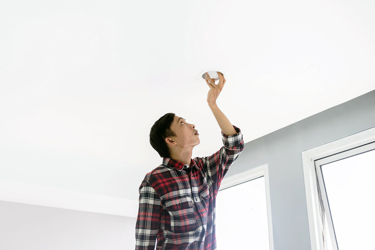 Фото: iqbal nuril anwar /Pixabay