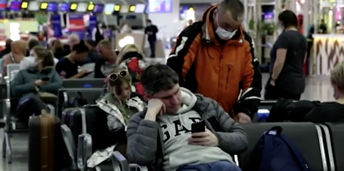 Кадр из сюжета РЕН ТВ