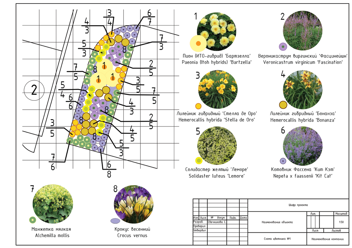 Схема цветника