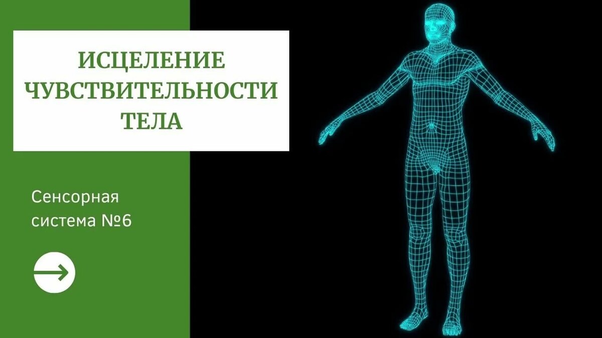 Проприорецепция. Кинестезии и управление движениями.. Чувствительное тело. Саблиминалы и нейроакустика.