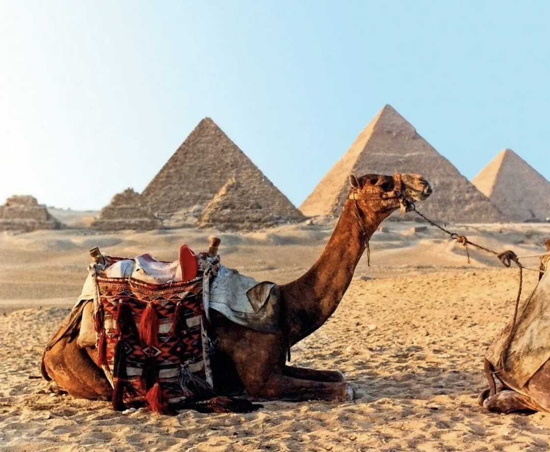 Яндекс Картинки.