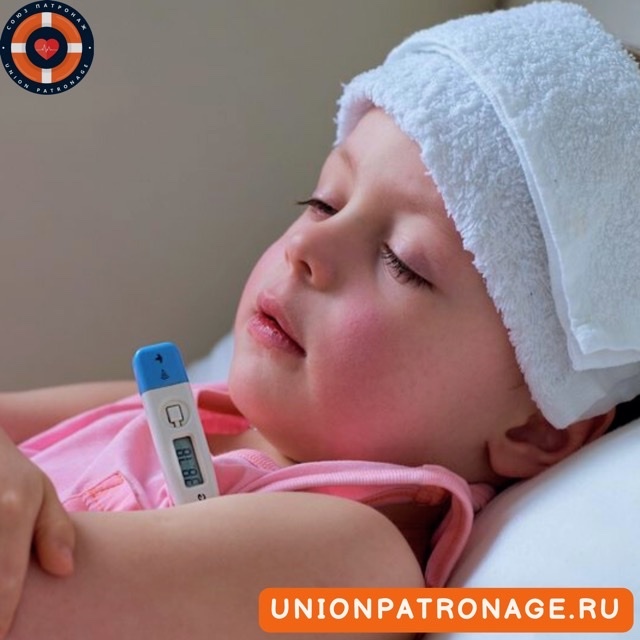 Фото взято из открытых источников 