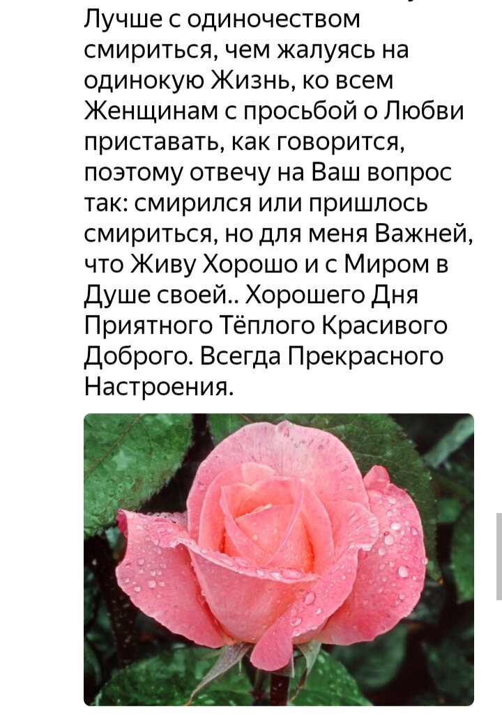 Скриншот комментария