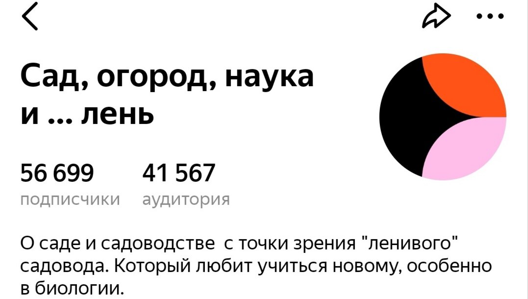 Сошел с орбиты блоггер дзен