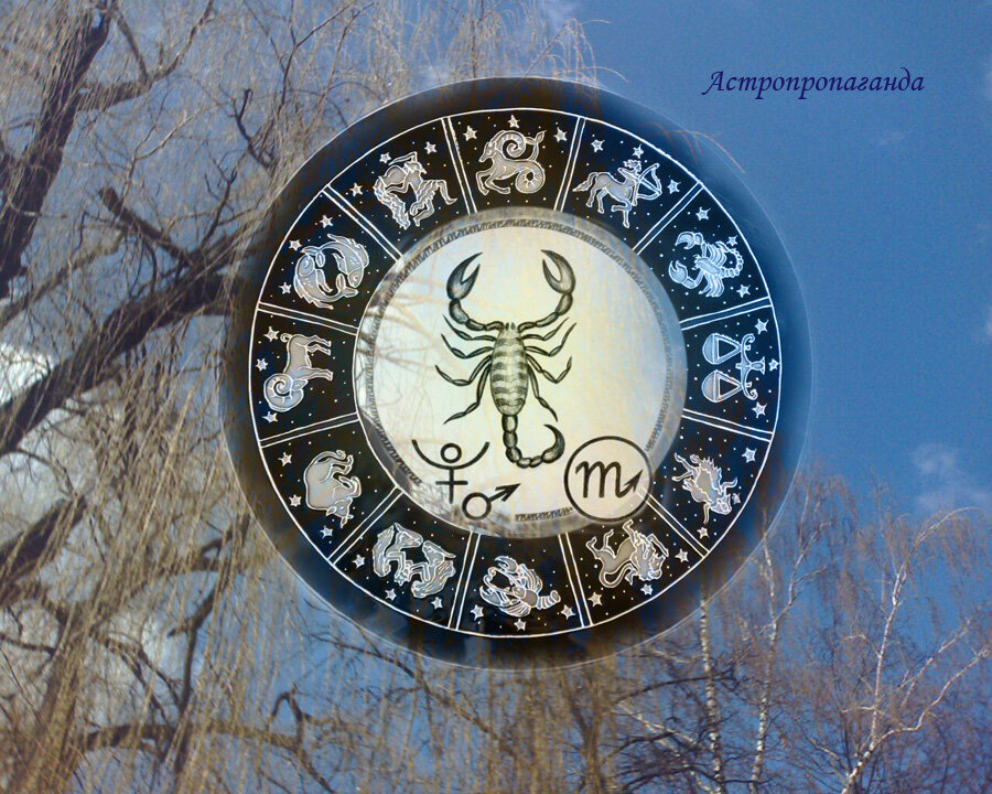 Коллаж Нины Стрелковой. 