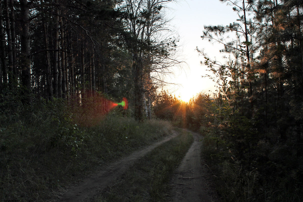 Источник Яндекс картинки