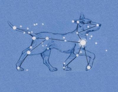 Большой пёс