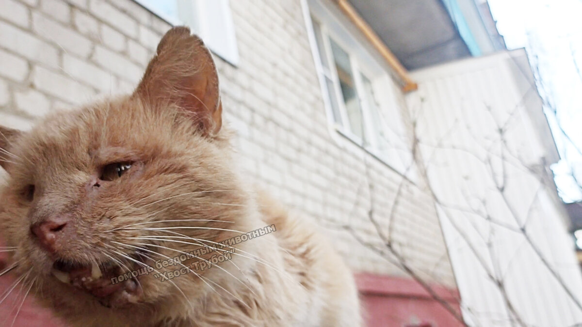 Скрин из видео