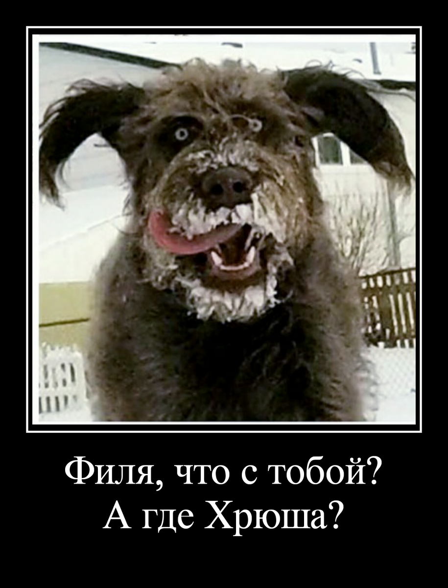 Ведущим должен быть Каневский)