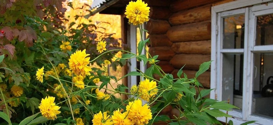 Дачный дом duma.gov.ru