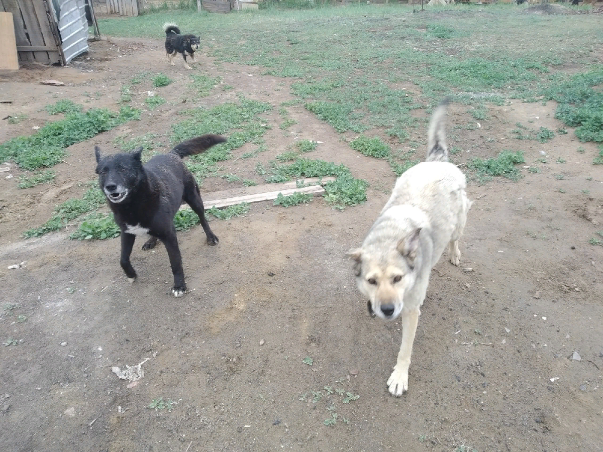 Оторвинская команда