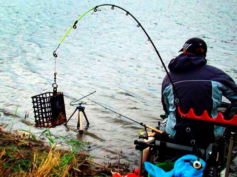 Рыбалка на Английскую донку