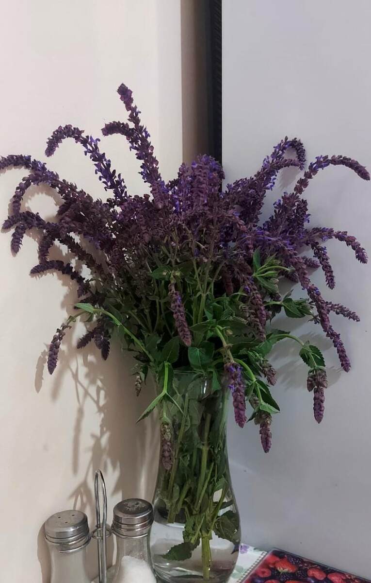 Когда привезла домой и только поставила в вазу.