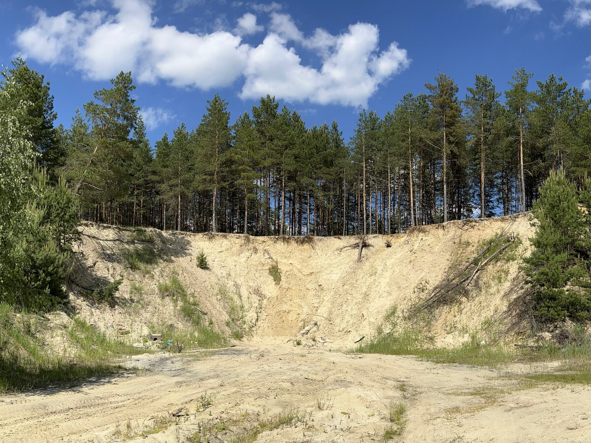 Будьте осторожны! Обвал карьера. Падающие сосны! 