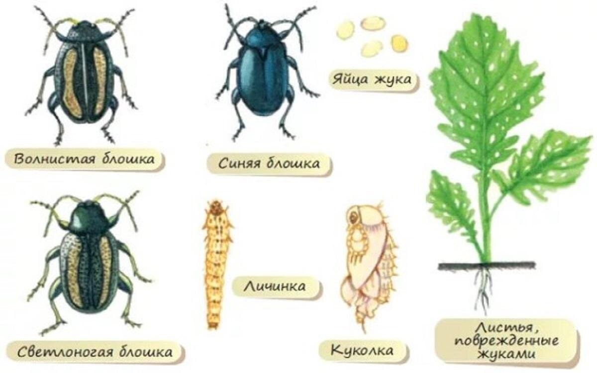 Вот они какие     https://water-vao.ru/diseases