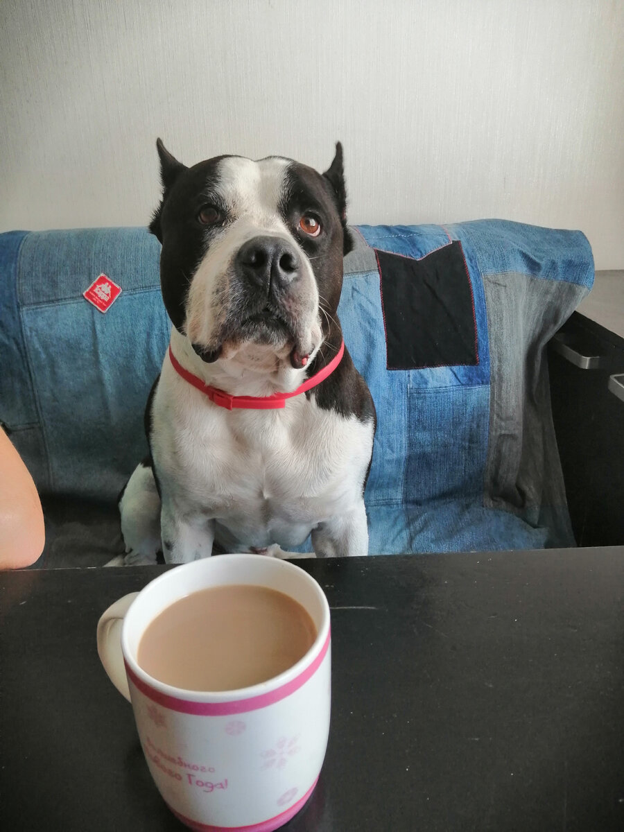 Фото автора.