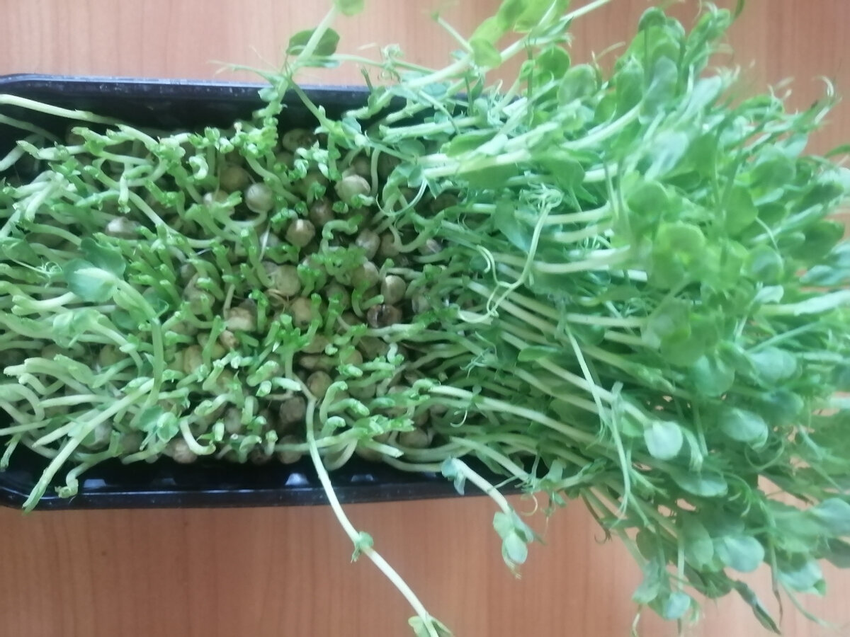 На вид не похоже на еду, но вкус нейтральный. 