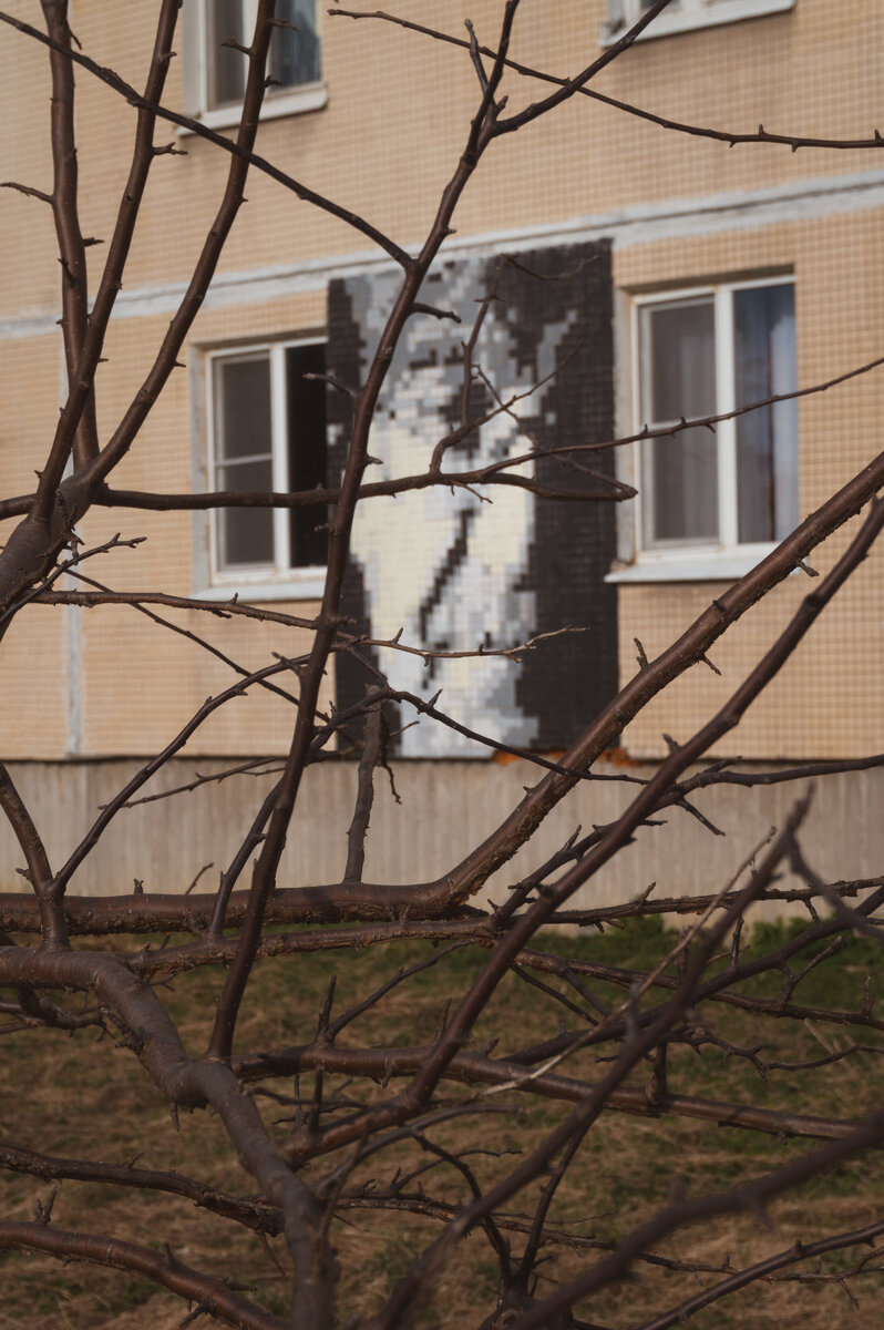 Юрий Шевчук