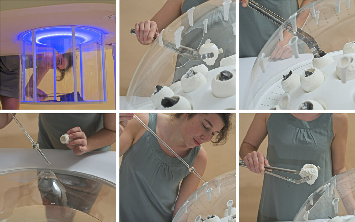 Процесс выращивания грибов на пластике. Источник: Livin Studio