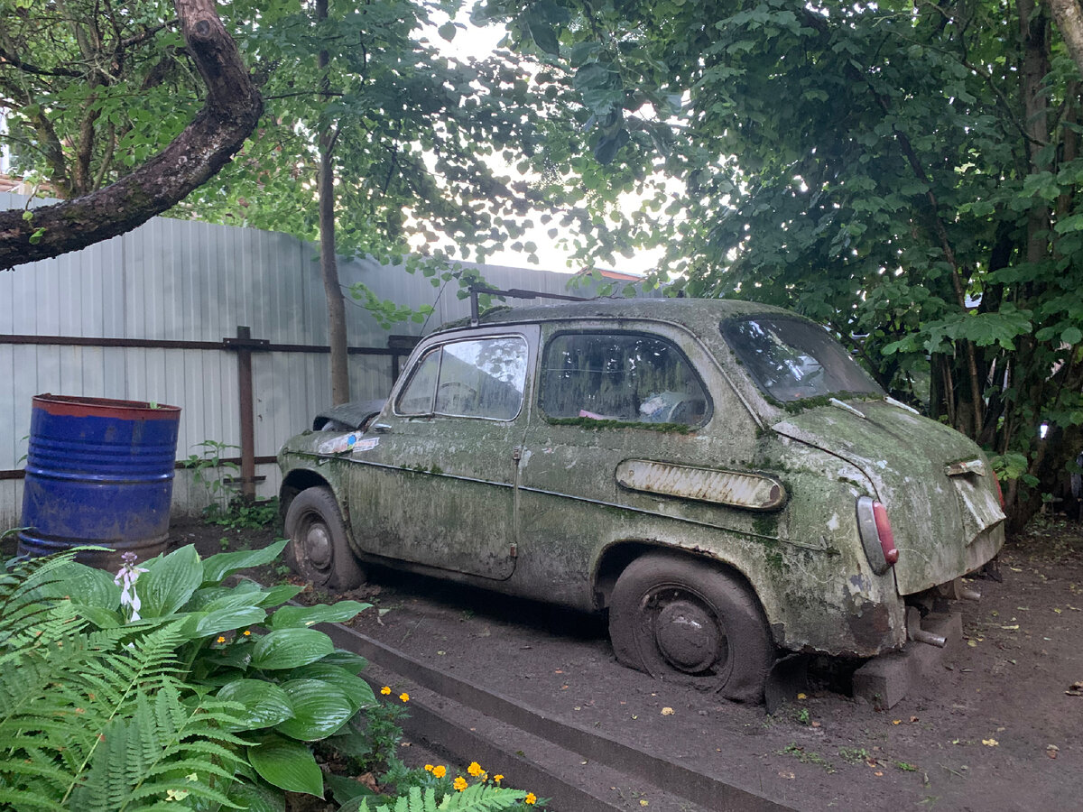 Горбатый Запорожец Жириновский