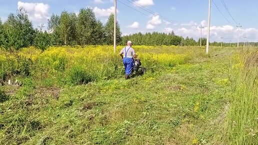 Дзеновские будни