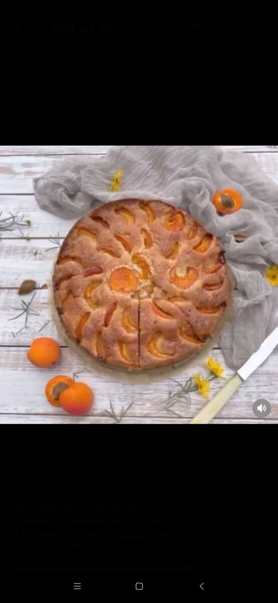 
Давно не было рецептов, пора исправлять традиции 
Рецепт  вкусного и ароматного Пирога с абрикосами. Особый шик этому десерту придают миндальная мука и рубленные грецкие орехи.

Состав:
185гр – мягкого сливочного масла
200гр – сахара
120гр – миндальной муки
90гр - муки
4 яйца
100гр – измельченных грецких орехов
10гр – ванильного сахара
Цедра 1 лимона
Щепотка соли
15 абрикосов (600-700гр)

1.  Масло взбиваем с сахаром и ванильным сахаром до пышной массы;

2. По одному вводим яйца, всякий раз хорошо перемешивая;

3. Добавляем муку, миндальную муку, соль, цедру и достаточно быстро перемешиваем, затем всыпаем орехи и быстро все объединяем;

4. Готовим разъёмную форму d-24см: дно формы простилаем пергаментом,  маслом промазываем бока формы;

5. В форму выкладываем тесто, разравниваем, а затем раскладываем половинки абрикосов кожицей вниз;

6. Выпекаем при 170°С около 70-80 минут (если понадобится, прикройте фольгой)