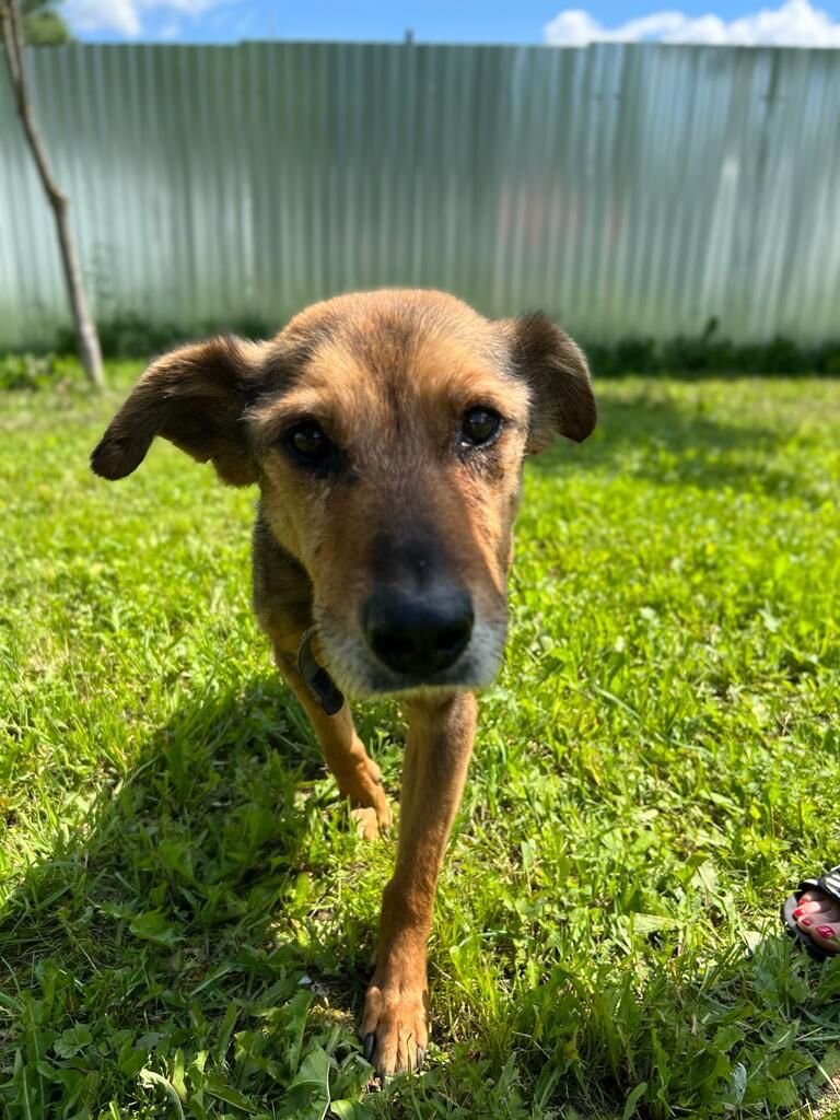 Ярик в зоогостинице