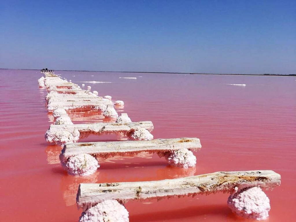 Озеро саки фото розовое