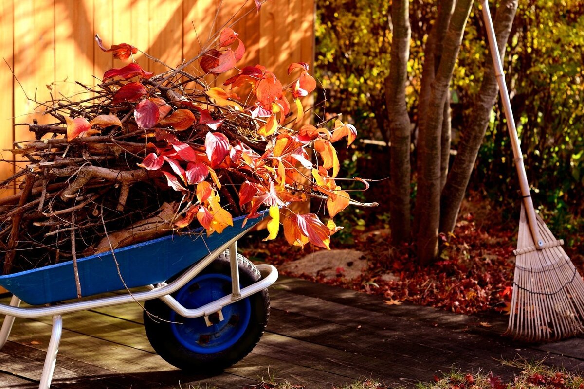     5 частых ошибок осенней подготовки грядок к новым посадкам, которые могут допустить дачники