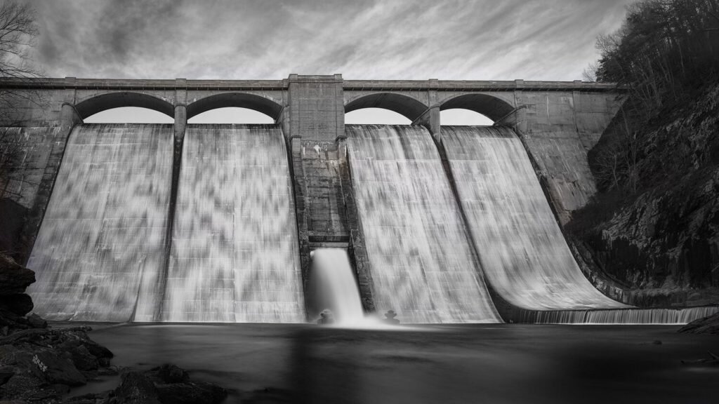    Фото: G.B. Smith