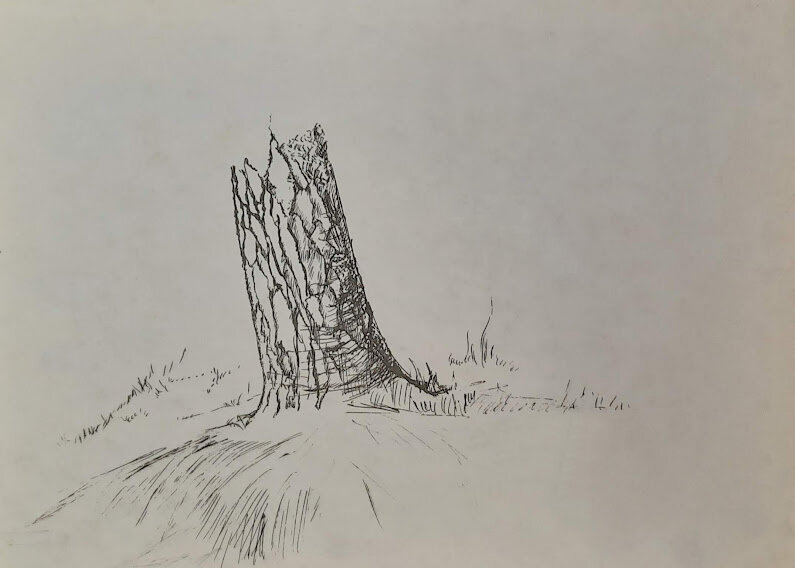 Графика. Дерево. Художник Виктория Гумарова.