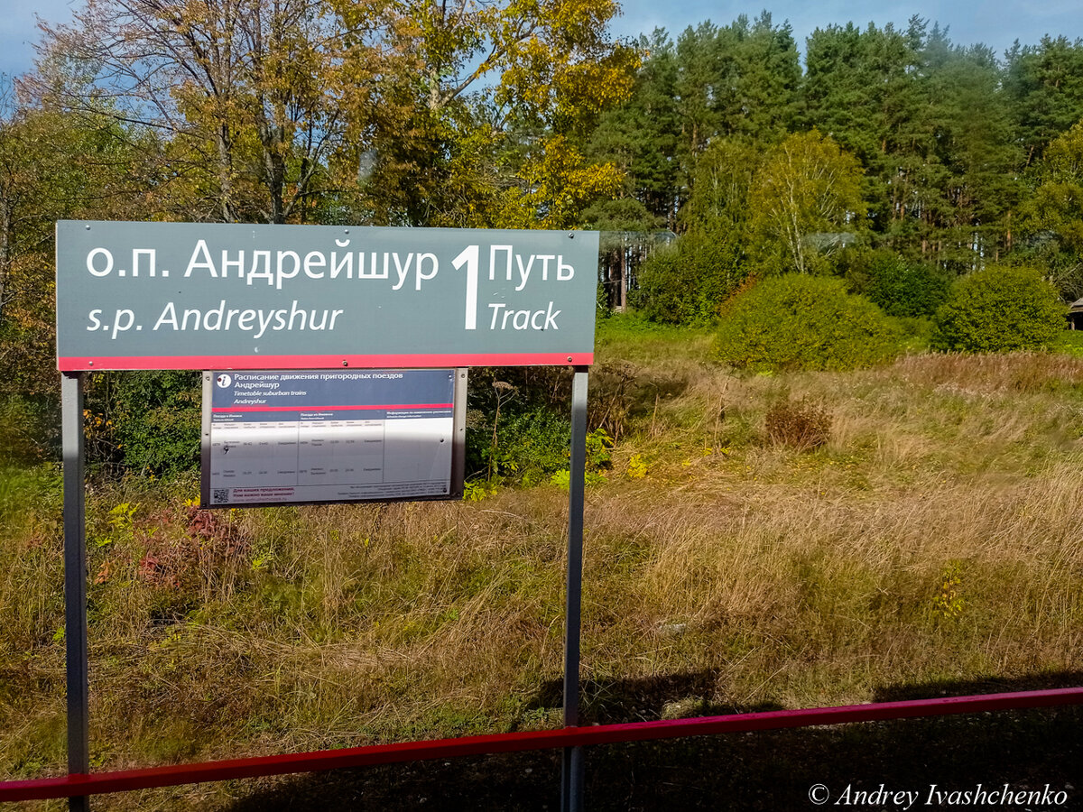 Поездка от Ижевска (Лесозаводской) до Глазова на дизель - поезде. |  Прохожий с фотоаппаратом | Дзен