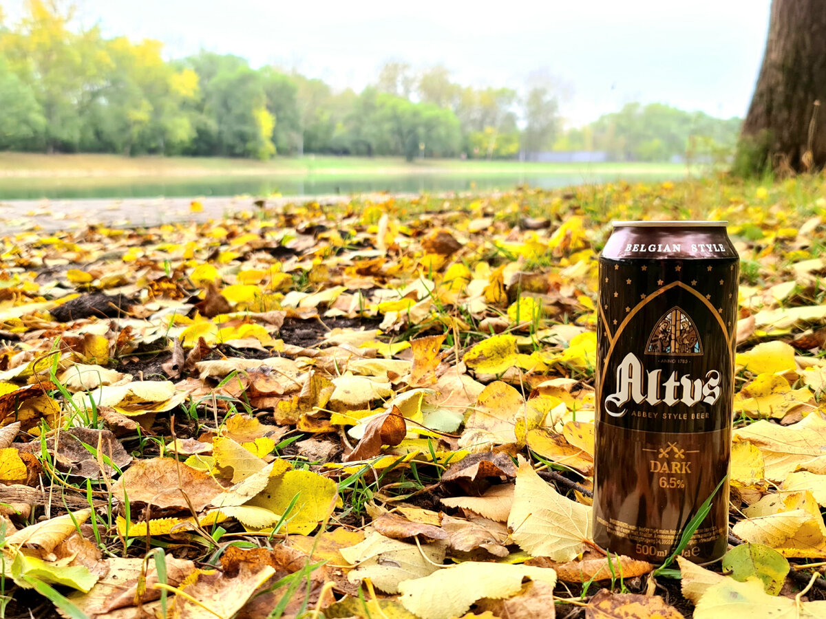 Altus, фото автора