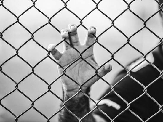     ФОТО UNSPLASH.COM
