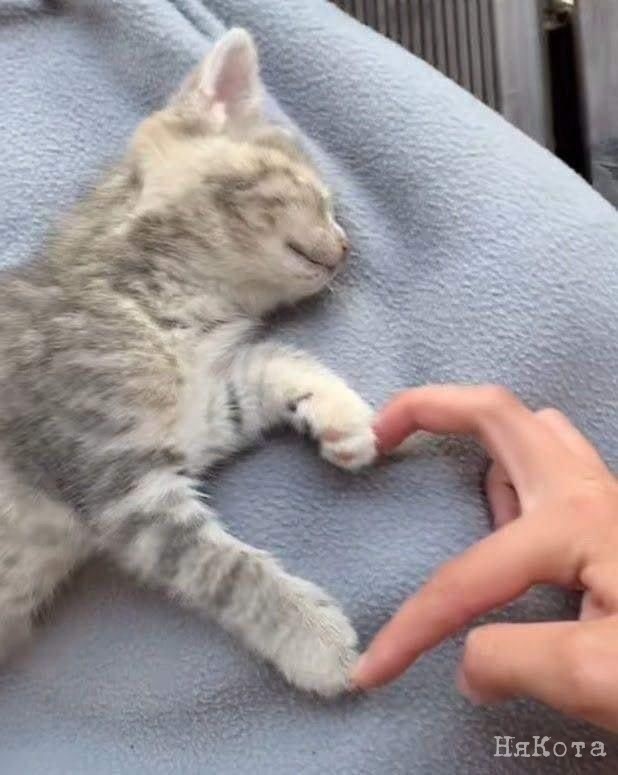 Здесь и далее фото: reddit.com