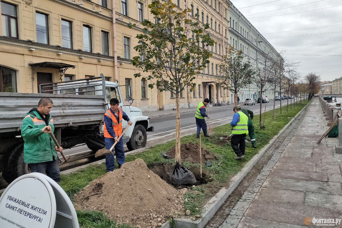 Москва лос анджелес авиабилеты. Билет с ростова до питера. Спб екатеринбург авиабилеты. Станция метро приморская спб. Дешевые авиабилеты.