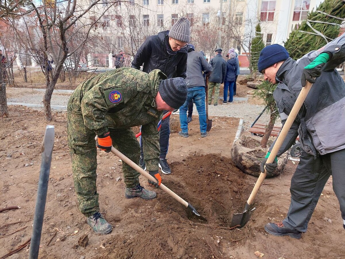 Код на высадку. Высадка деревьев. Субботник. Посадка деревьев экология. Аллея Горького Чита.