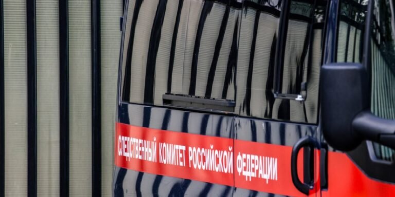 Фото: https://russian.rt.com/