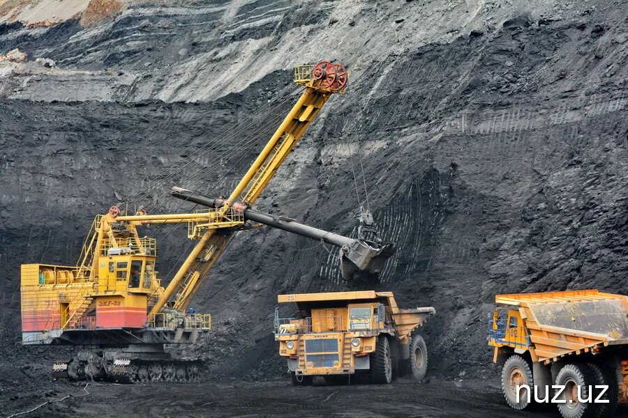 Фото взято из открытого источника