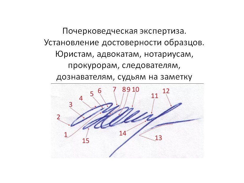 Почерковедческая экспертиза сравнительные образцы