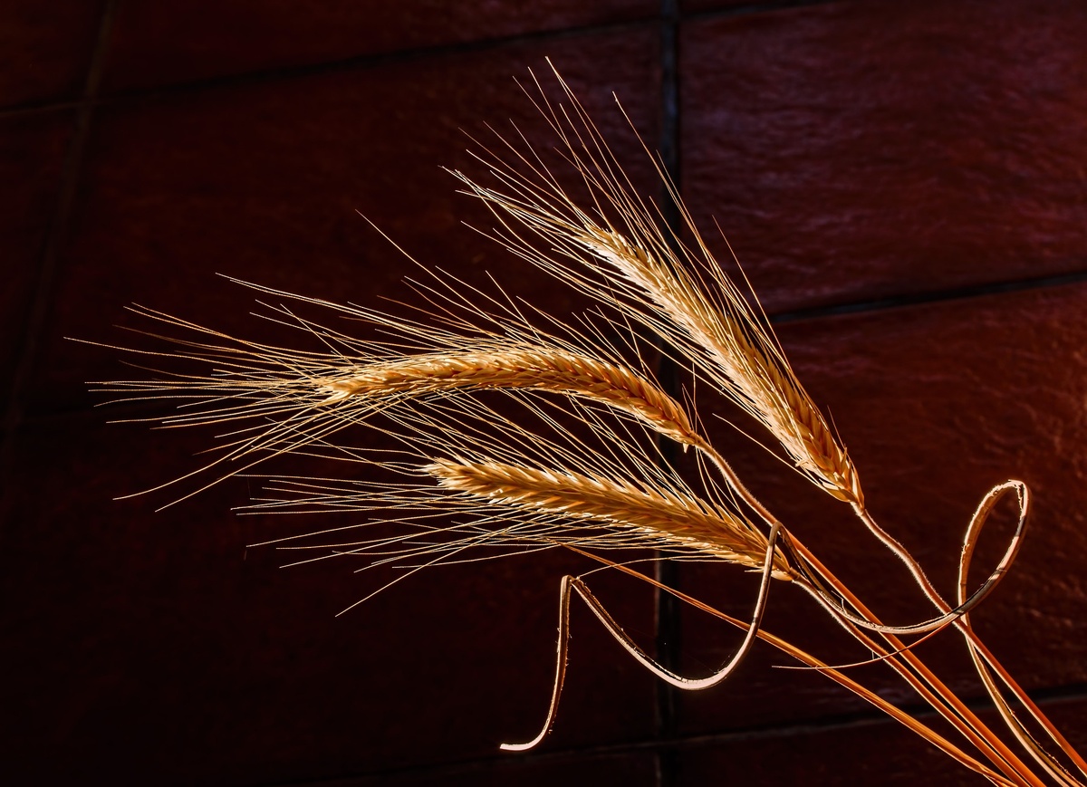 Фото: pixabay.com 