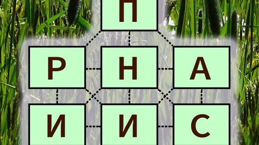 Слова из букв дзен. Слова из букв дзен. Слова из букв дзен. Слова из букв дзен. Слова из букв дзен.