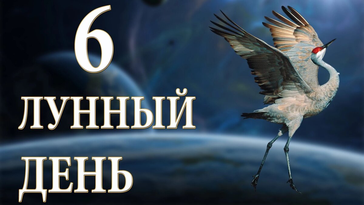 растущая луна 6 лунный день