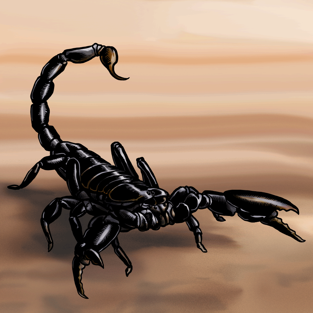 Скорпион картинка. Скорпион. Красивый Скорпион. Темный Скорпион. Изображение скорпиона.