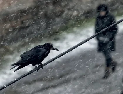 фото из интернета