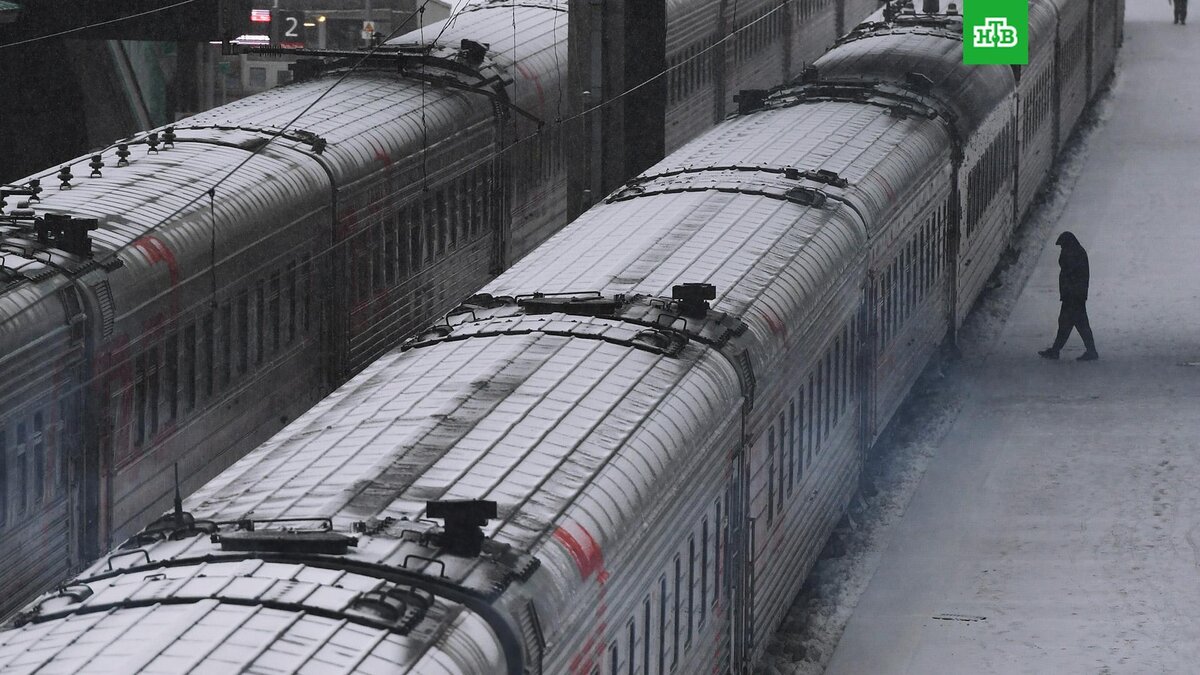    Фото: РИА Новости © 2022, Александр Кряжев