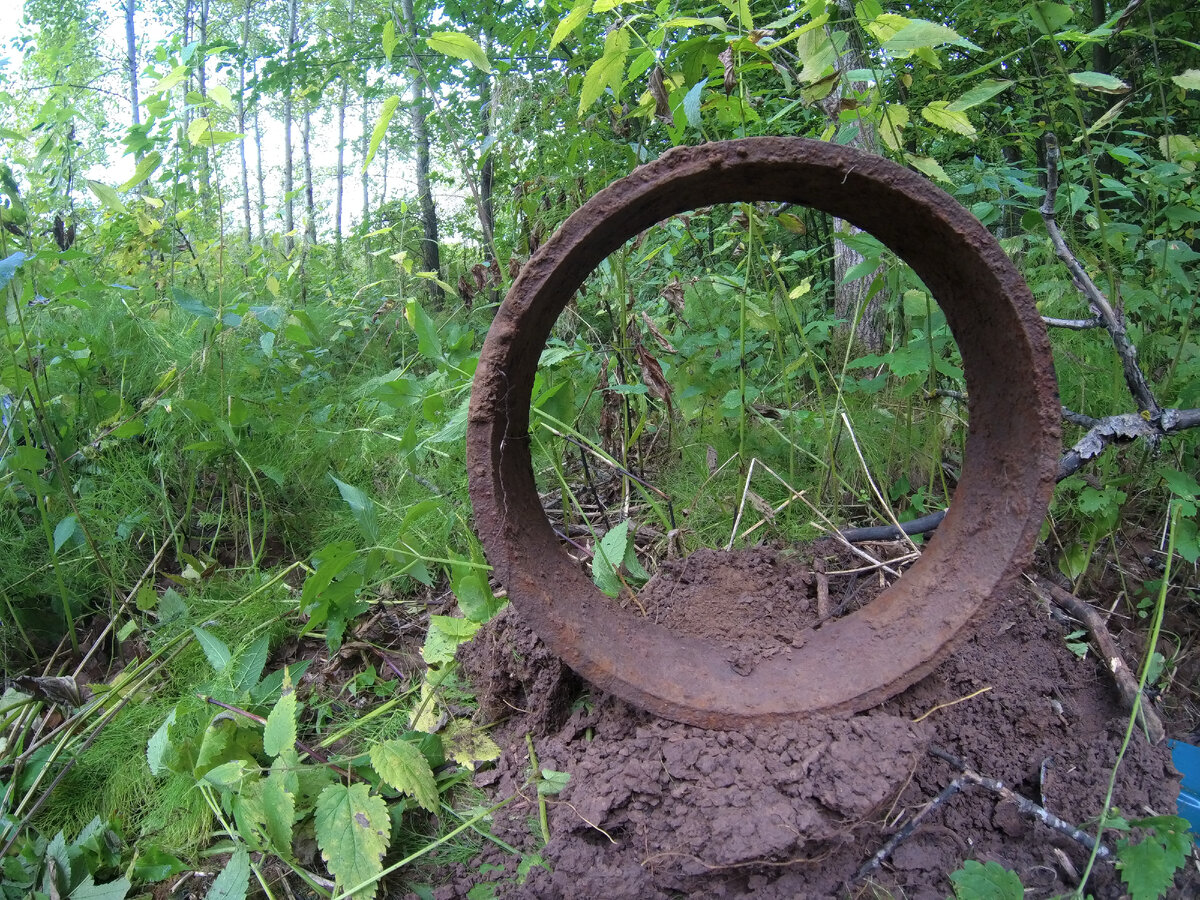 Вот такие толстые кольца попались мне возле старой насосной. 
