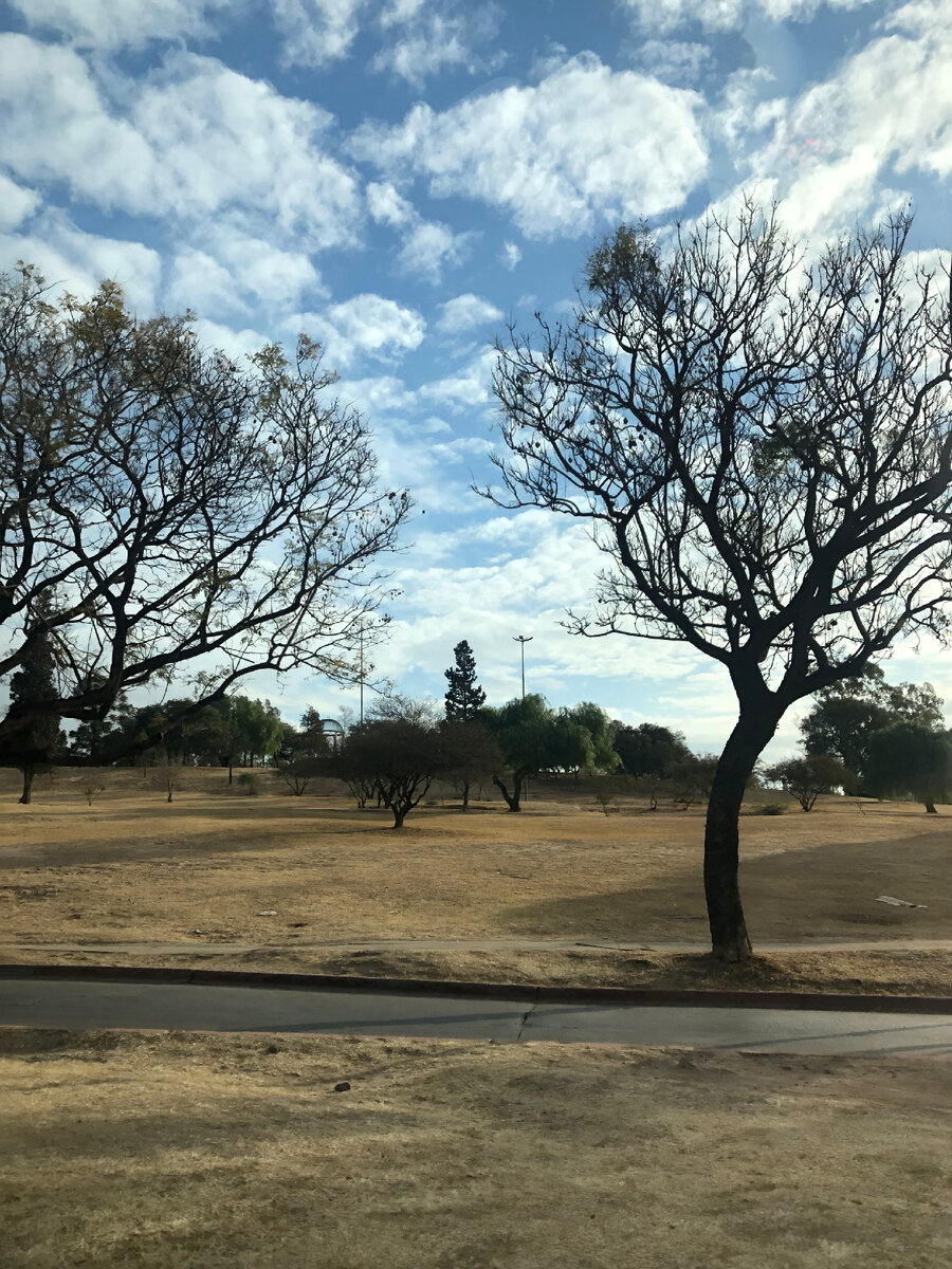 Город Кордоба 